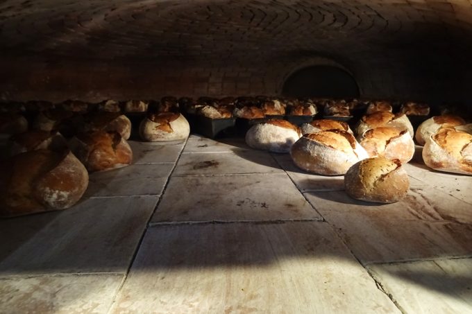 La Ferme de Neuziou