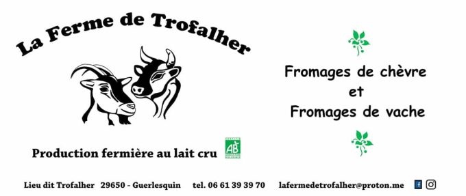 Logo et infos