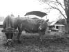 Nos deux vaches