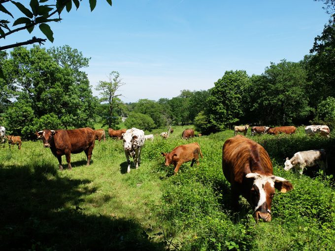 Ferme de la Cerisaie