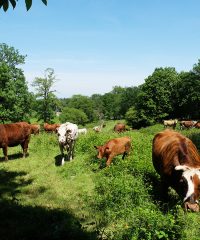 Ferme de la Cerisaie