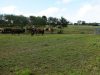 Ferme de la Cerisaie - nourriture saine bio