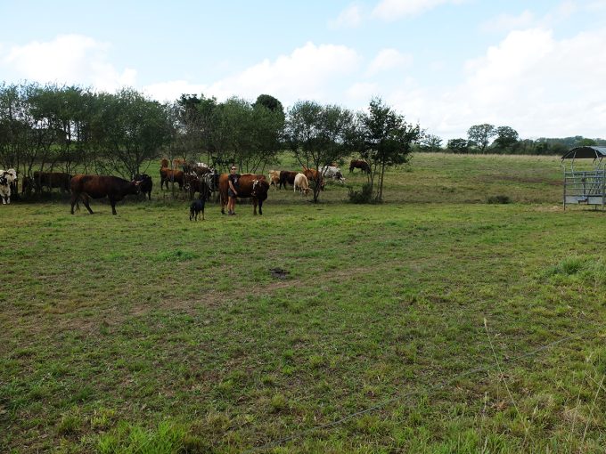 Ferme de la Cerisaie - nourriture saine bio