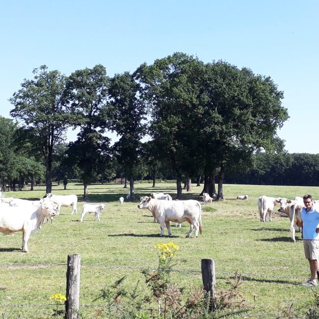 Ferme d&rsquo;Emmanuel Mettier