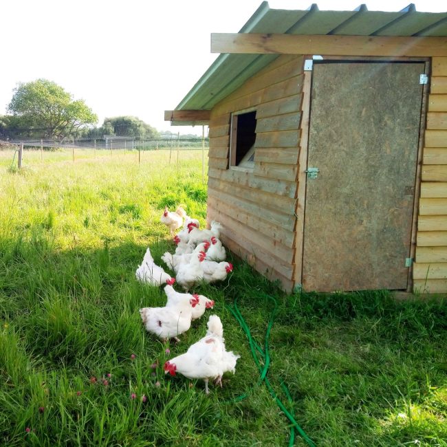 La Ferme de Pileven