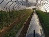Ferme de Rulanou
