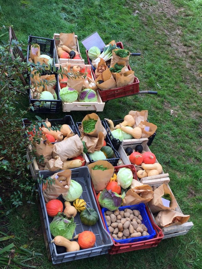 Les légumes