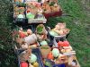 Les légumes