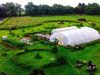 La ferme