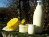 Les produits laitiers de la ferme