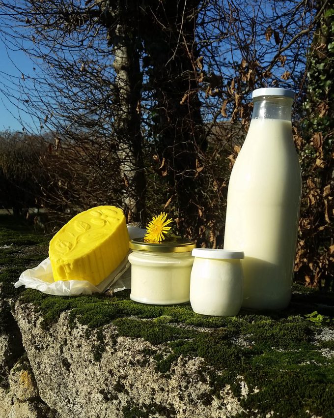 Les produits laitiers de la ferme