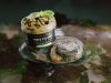 GlobeXplore - Pesto d'algues