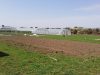 Graines de Saint Germain - 1,5 hectare