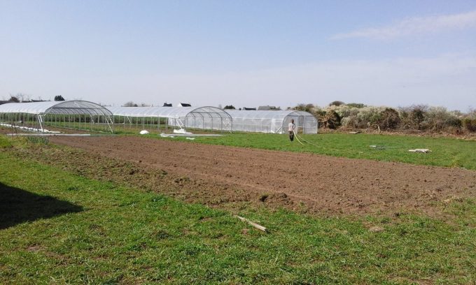 Graines de Saint Germain - 1,5 hectare