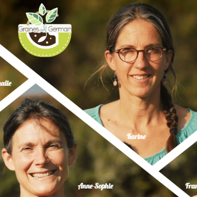 Graines de Saint Germain