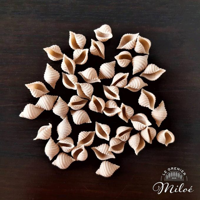 Le Grenier Miloé - pâtes conchiglie