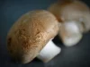 Ferme du Roudoudour - champignon