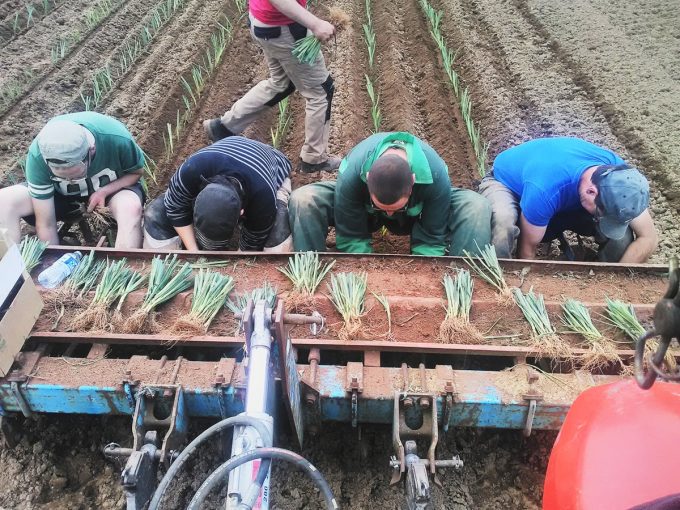 Travail collectif