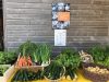 Légumes de saison