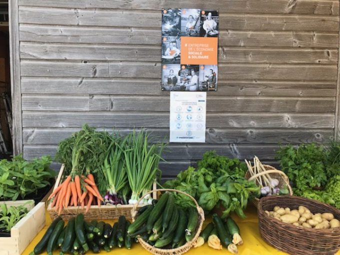Légumes de saison