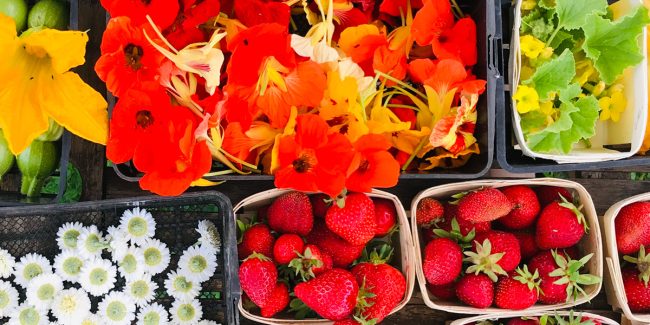 Les Jardins de Brangoulo