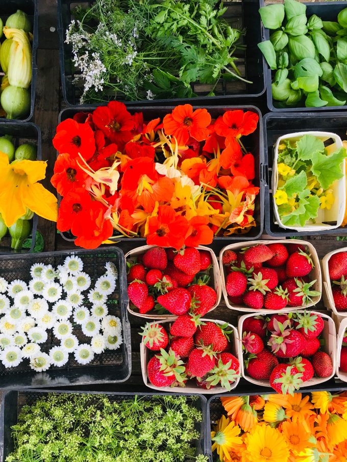 Les Jardins de Brangoulo