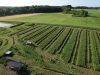 Les Jardins de Brangoulo - potager