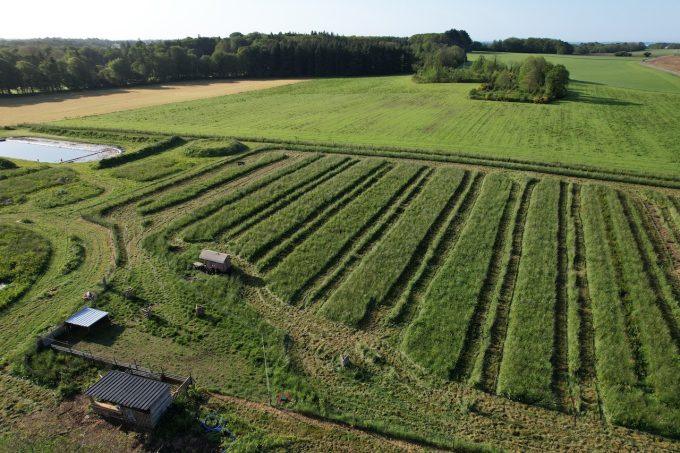 Les Jardins de Brangoulo - potager