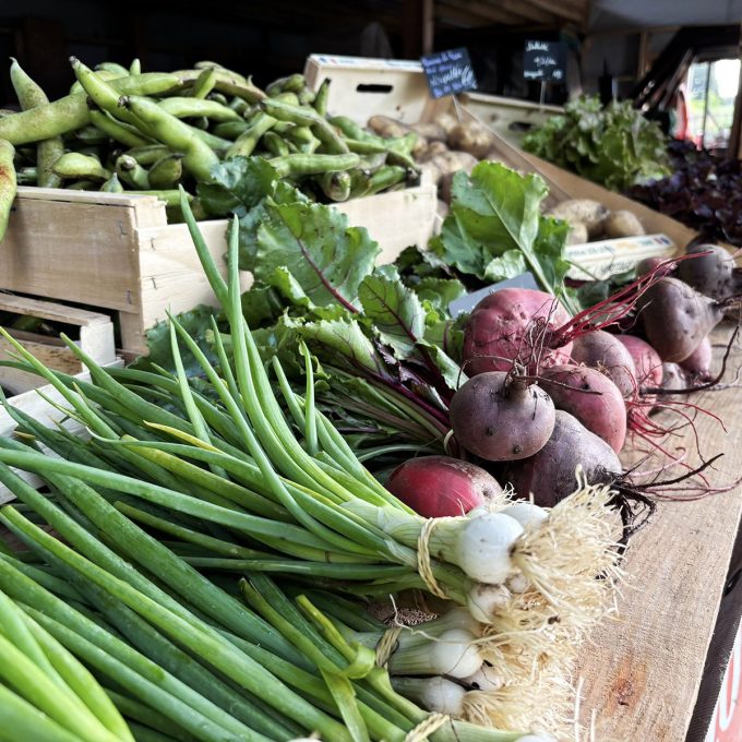 Les Jardins de Brangoulo - vente