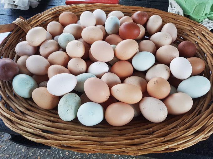 Les Jardins de Kinkis - oeufs