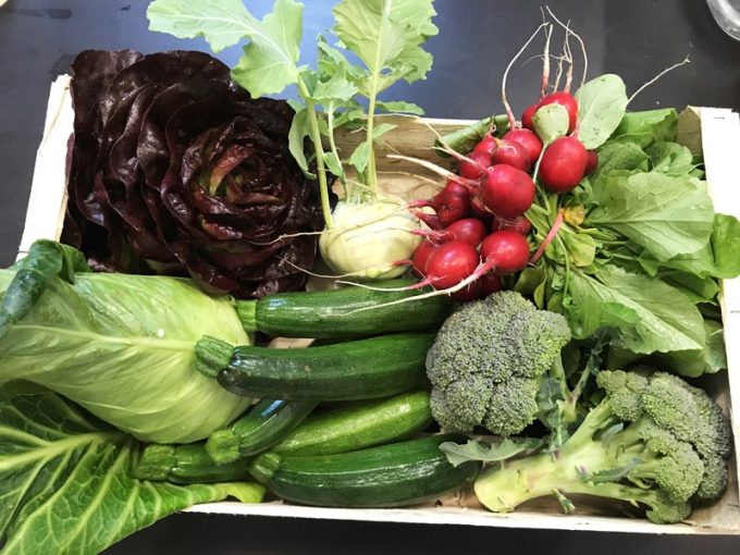 Panier de légumes BIO de saison