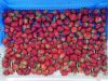 Le Champ du Dragon - fraises
