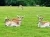 Le Stérou Parc Naturel