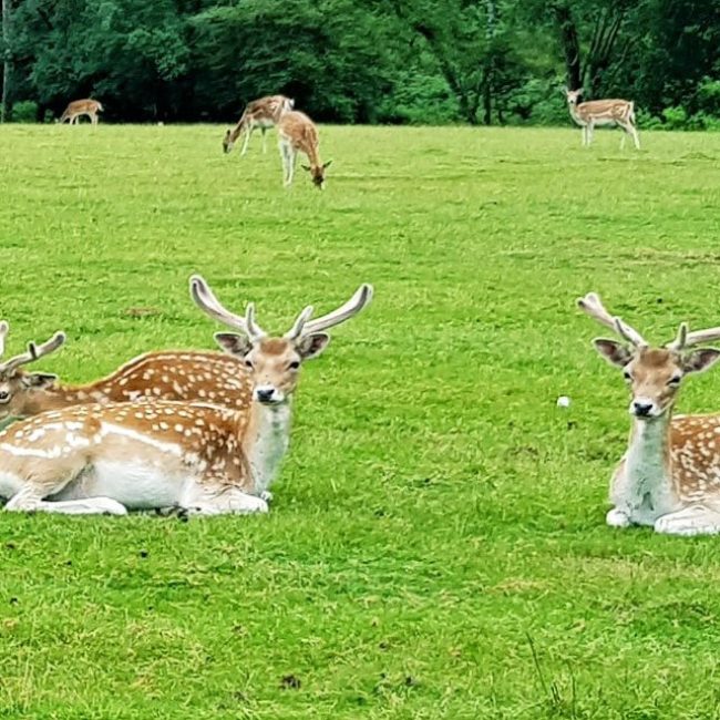 Le Stérou Parc Naturel
