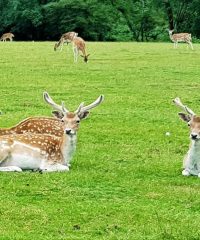 Le Stérou Parc Naturel