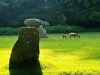 Le Stérou Parc Naturel - entre dolmen et menhir