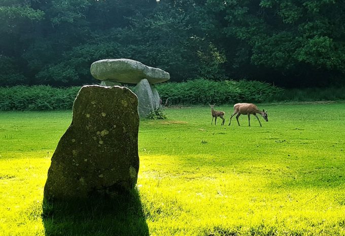 Le Stérou Parc Naturel - entre dolmen et menhir