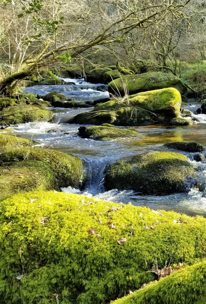 Le Stérou Parc Naturel - boisson fraîche