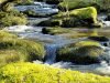 Le Stérou Parc Naturel - boisson fraîche