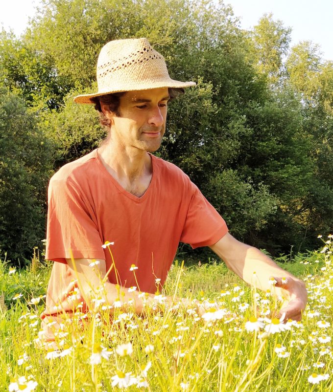 Miel et une Fleurs - cueillette de fleurs
