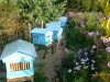 Les ruches d'abeilles noires