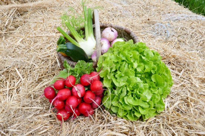 Légumes en vente directe