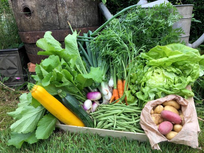 Le potager de Kerrun