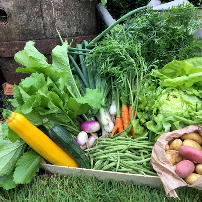 Le potager de Kerrun