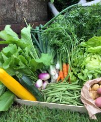 Le potager de Kerrun