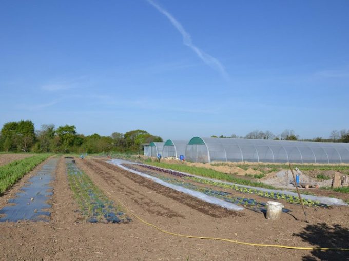 Le potager de Kerrun