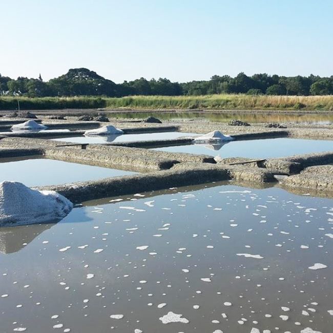 Sel du Marais Rond