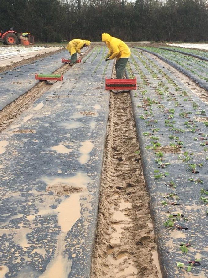Plantations en extérieur, même sous la pluie !