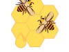 Rucher de Keriner - logo
