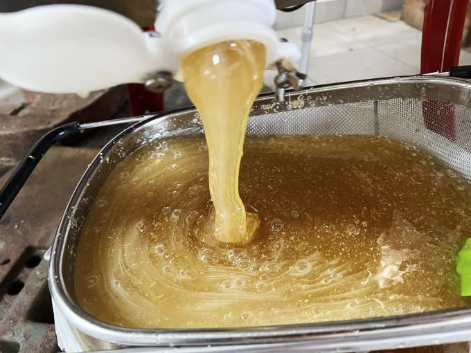 Rucher de Keriner - extraction